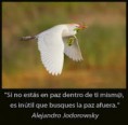 /album/fotogaleria/aq2ij00cazmegahcadc411oca1ktqvycaatwj4ucadxu0yncausm6vtcaladzi1ca8diqv5ca05fmi9ca6w3k1kcaeck2o2cadc0bp6cagqeqj4caefnk3vca3zir56cajr32f6cacpvx3pca0684klcaalldpb-jpg/